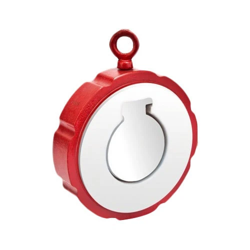 Valvola di ritegno oscillante a disco singolo